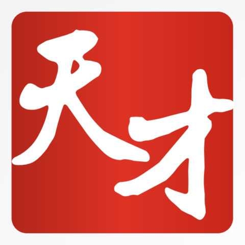 湖南天才人力資源服務(wù)有限公司